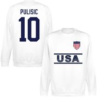 Verenigde Staten Team Pulisic 10 Sweater