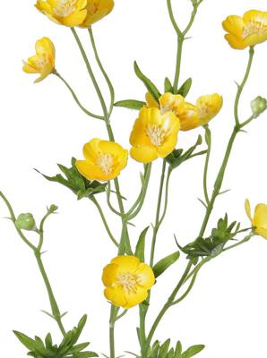 Boterbloemspray shiny 68 cm x12flrs, 3knp 7lvs kunstbloem zijde nepbloem - Driesprong collection