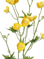 Boterbloemspray shiny 68 cm x12flrs, 3knp 7lvs kunstbloem zijde nepbloem - Driesprong collection