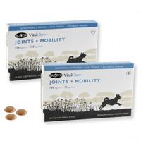 VitalChew Buster Joints & Mobility voor de hond Medium/Large 3 x 30 stuks