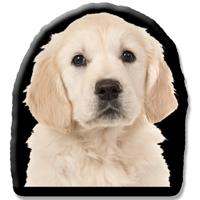 Kleur Voorzijde: - Pillow Buddies