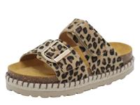 Red Rag Slipper