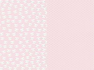 Set 2 rollen Inpakpapier Cat Bibi