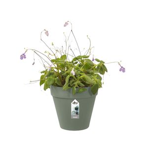 Loft urban Green wall single 15cm pistachegroen - elho