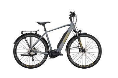 KAYZA Ebike talik dry 6 28/48 diam.9sp grey/gold