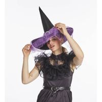 Verkleed heksenhoed - met sluier - zwart/paars - voor volwassenen - Halloween hoofddeksels