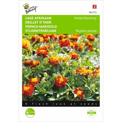 Tagetes, lage Afrikaan Petite Harmony