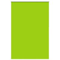 VidaXL Rolgordijn verduisterend 165x230 cm stofbreedte 161,6 cm