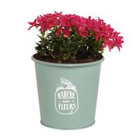 Plantenpot/bloempot voor buiten - zink - jadegroen - D14 x H13 cm