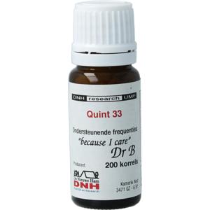 DNH Quint 33