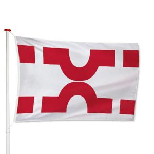 Vlag Losser