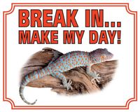 Gekko Waakbord - Break in make my day