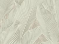 Dutch Tahiti - Banya creme - 13305