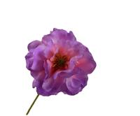 Klaproos steel lavendel rt 73 cm Silk-Ka - Silkka