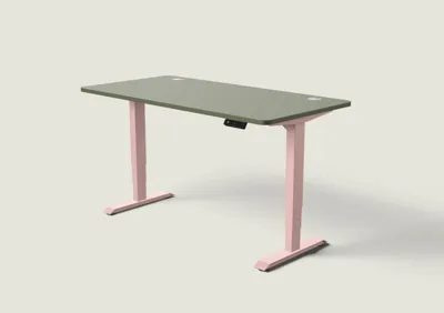 Desktronic HomePro bureau Zachtroze / Olijfgroen / 160x80 cm