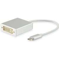 Equip 133453 USB Type C DVI Wit kabeladapter/verloopstukje