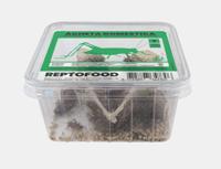 Reptofood Reptofood Huiskrekels, Doos Maat 7