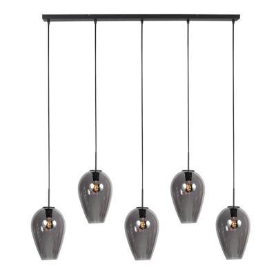 Steinhauer HanglampHaloSwap zwart met smoke glas - 4284ZW