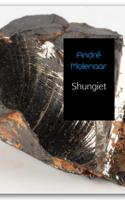 Shungiet - Gezonde leefstijl - Spiritueelboek.nl