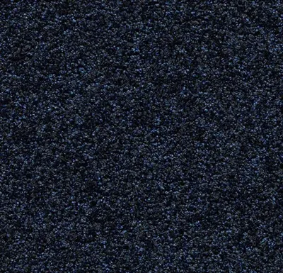 Coral Luxe 2917 Sapphire 205 cm breed