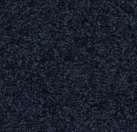 Coral Luxe 2917 Sapphire 205 cm breed