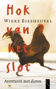 Hok van het slot - Wieke Biesheuvel - ebook