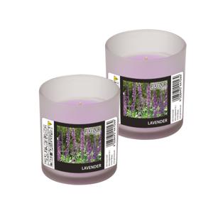 Conpax Candles Geurkaars - 2x - in glas - Lavender aroma - 8 branduren - 7 x 8 cm