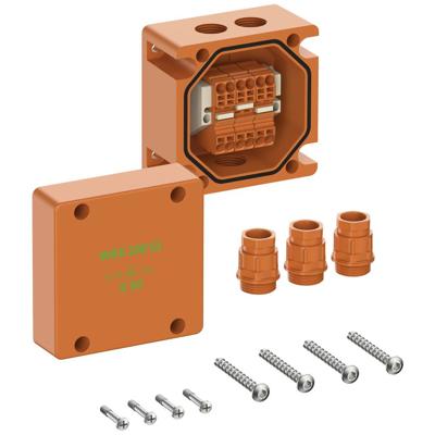 Spelsberg WKE 203 SL Aftakkast (l x b x h) 115 x 93 x 115 mm Oranje IP66 1 stuk(s)