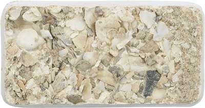 TRIXIE PIKSTEEN MET SCHELPEN MINERALEN EN MOSSELEN