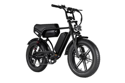 RSE Plus Fatbike 20 inch 7v