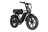 RSE Plus Fatbike 20 inch 7v