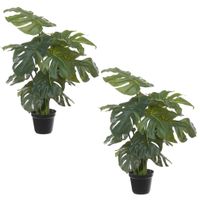 Set van 2x stuks groene europalm Split Philo kunstplanten in zwarte kunststof pot 55 cm