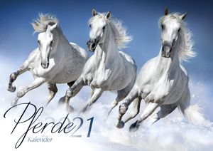 Paarden Kalender 2021 A3