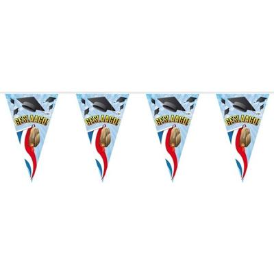 Geslaagd/afgestudeerd vlaggenlijn - slinger - 10 meter - Feestartikelen en versiering