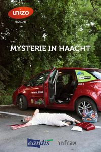 Mysterie in Haacht - Tom Bergs - ebook