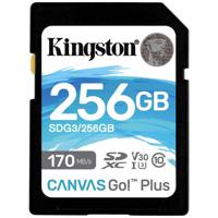 Kingston Technology 256GB SDXC Canvas Go Plus 170R C10 UHS-I U3 V30 - thumbnail