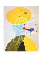 Kunstdruk Joan Miro - Portrait, 1938 60x80cm