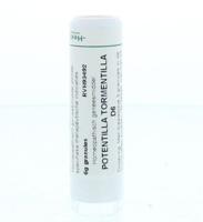 Homeoden Heel Potentilla tormentilla D6 6 Gram