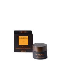 Skin Care Saveguard Antioxidant Nutrition Recovering Mask