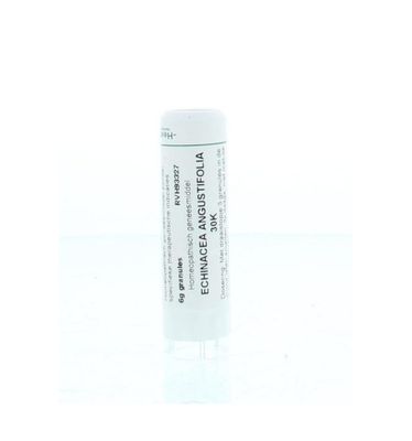 Echinacea angustifolia 30K