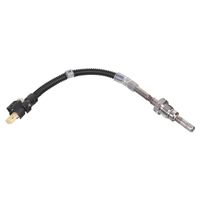 Uitlaatgastemperatuursensor 100829