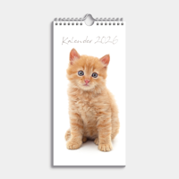 Katten Mini Kalender 2026