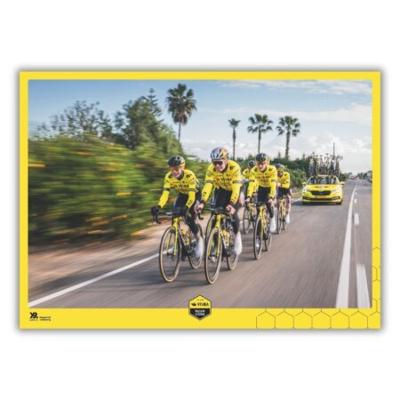 Team Visma | Lease a Bike