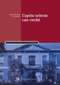 Capita selecta cao-recht (Paperback)