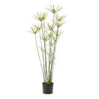 Cyperus 120 cm green kunstbloem zijde nepbloem - Emerald Cyperus 120 cm green kunstbloem zijde nepbloem - Emerald