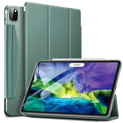 iPad Pro 11 2020 Ascend Trifold Hard Smart Case - Cactus