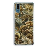 Haeckel Lacertilia: Huawei P20 Transparant Hoesje