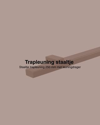 Staaltje trapleuning rechthoekig 40x20mm brons
