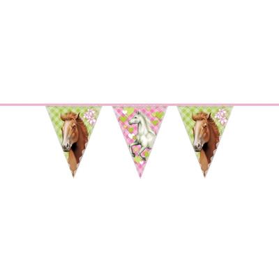 Paarden vlaggenlijn - 6 meter - plastic - themafeest - versiering