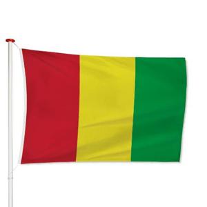 Guinese Vlag